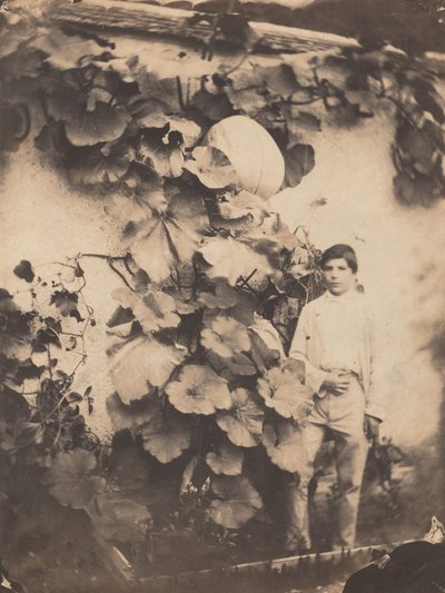 Niño con una vid de calabaza de Varin Frères