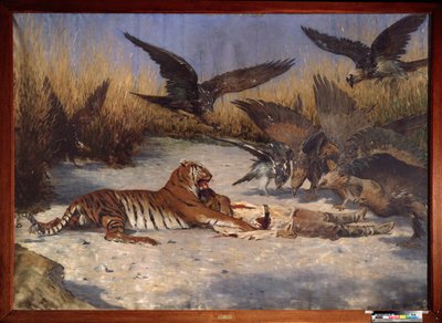 Un devorador de hombres - Pintura de Vasili Vasilyevich Vereshchagin (Vassili Vereshchagin) (1842-1904), óleo sobre lienzo, circa 1870-1880, arte ruso del siglo XIX - Museo de Arte Regional W Wereshchagin, Mykolaiv (Ucrania) de Vasili Vasilievich Vereshchagin