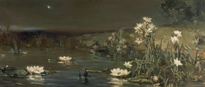 Estrella en la Noche de Vasilii Kotarbinsky