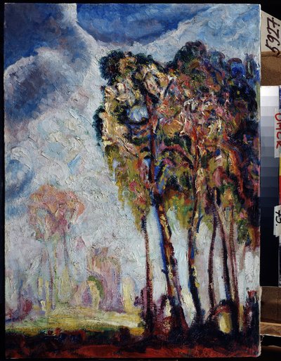 "Paysage aux arbres" Peinture de Vasily Ivanovich Denisov (1862-1921) 1914 Regional M. Vrubel Art Museum, Omsk de Vasily Ivanovich Denisov