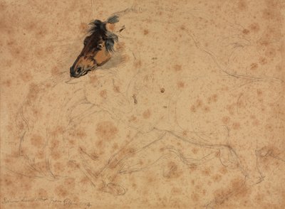 Estudio de caballos de Veit Stoss