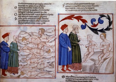 Dante y Virgilio en conversación con Grifolino de Arezzo y Capocchio de Siena. Siglo XIV (miniatura) de Venetian School