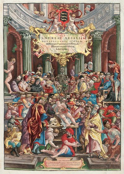 Frontispicio de De Humani Corporis Fabrica Libri Septem por Andreas Vesalius, publicado por Johannes Oporinus, Basilea, junio de 1543 de Venetian School