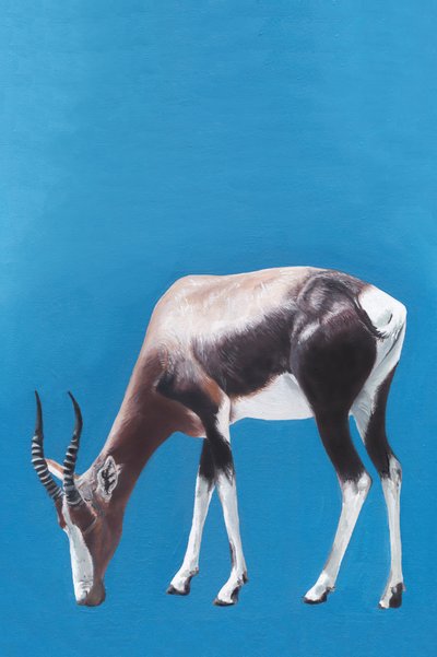 Blesbok pastando en el azul de Viccy Wanliss