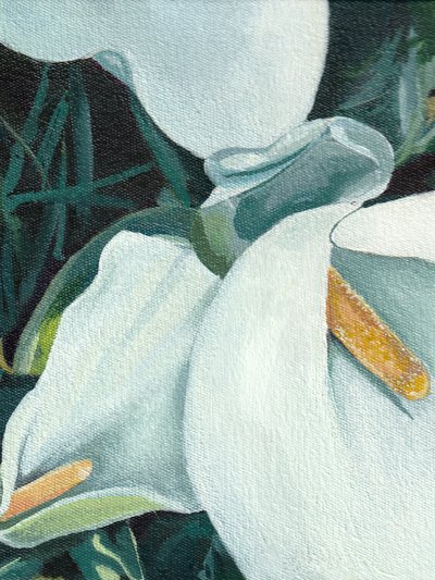 Elegantes calas de Viccy Wanliss