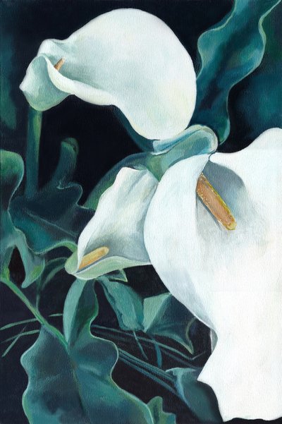 Elegantes calas blancas de Viccy Wanliss