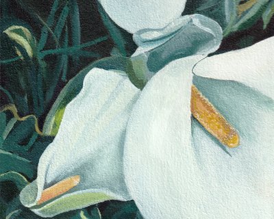 Elegantes lirios blancos de Viccy Wanliss