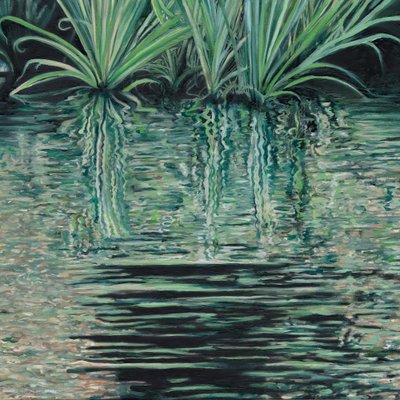Reflejos en el agua verde de Viccy Wanliss