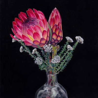 Ramo de proteas reales de Viccy Wanliss