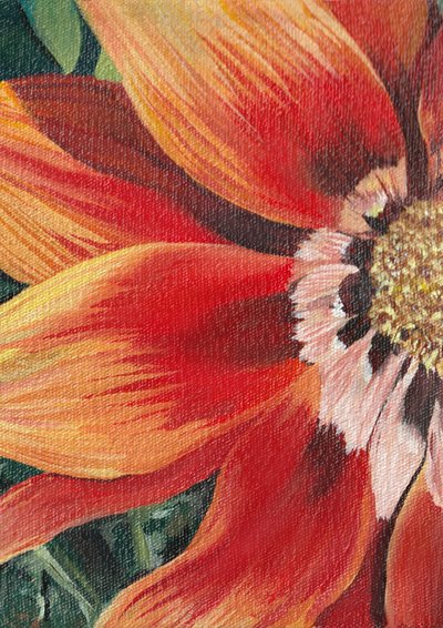 Flor de color naranja intenso de Viccy Wanliss