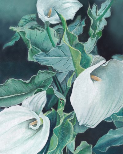 Callas blancas de Viccy Wanliss