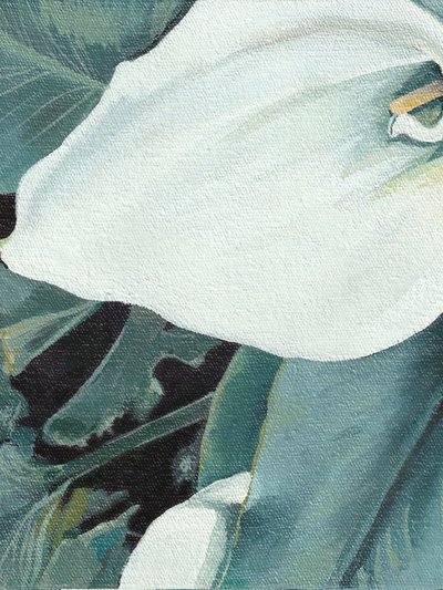 Flor de cala blanca de Viccy Wanliss