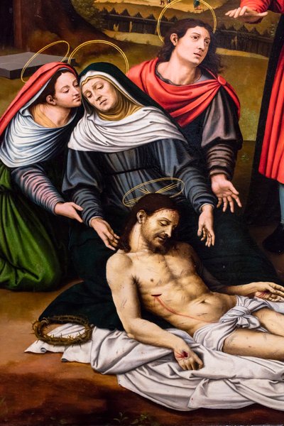  de Vicente Macip