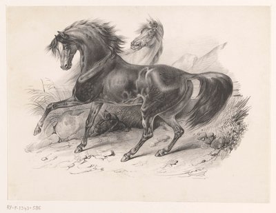 dos caballos salvajes de Victor Adam
