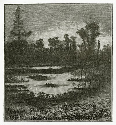 Les Chants du Crépuscule, Siglo XIX de Victor Hugo