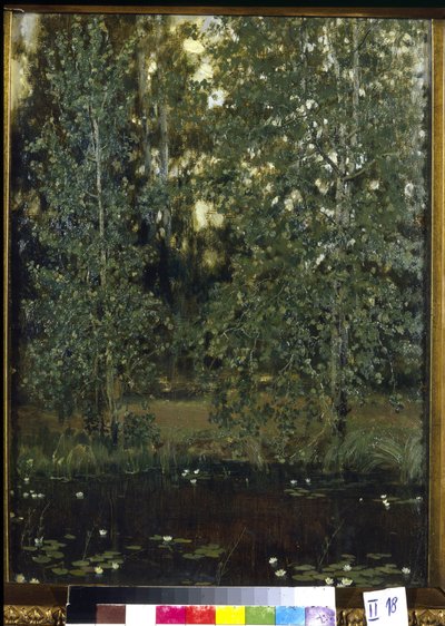 Estanque en Akhtyrka (u Okhtyrka, Ucrania). Pintura de Viktor Mikhaylovich Vasnetsov (1848-1926), óleo sobre lienzo de Victor Mikhailovich Vasnetsov