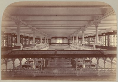 Pl. IV. Historia de la Galería: Etnología y Arqueología de Victor Prevost, Gaston L. Feuardent and Co., New York