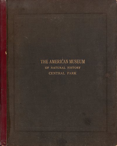 El álbum fotográfico del Museo Americano de Historia Natural, Central Park, Ciudad de Nueva York de Victor Prevost, Gaston L. Feuardent and Co., New York