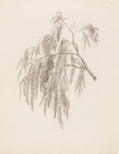 Rama de Victoria Åberg