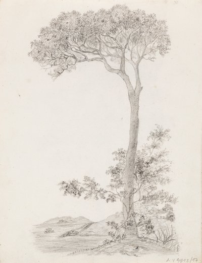Árboles de Victoria Åberg