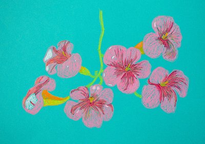 Dibujo floral en rosa de Viktoriia Saunina