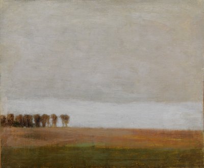 Vista de Jægersborg Allé. Gentofte, al norte de Copenhague de Vilhelm Hammershøi