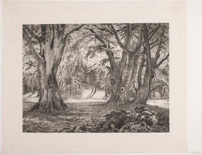 El interior de un bosque de Vilhelm Kyhn