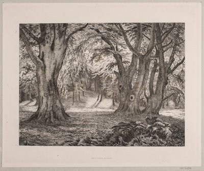 El interior de un bosque de Vilhelm Kyhn