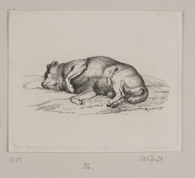 Un perro acostado de Vilhelm Kyhn