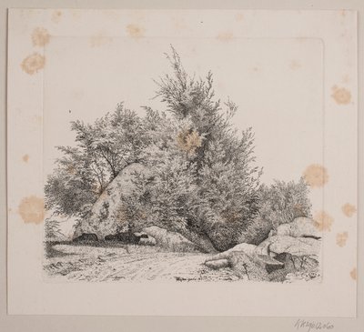 Una gran piedra rodante de Vilhelm Kyhn