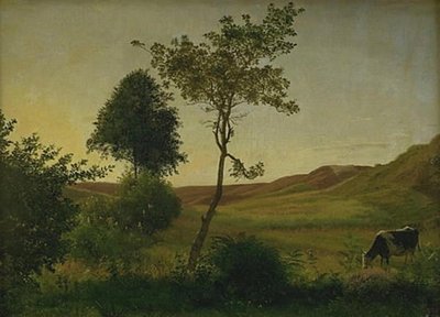 Paisaje en Hald hacia la tarde de Vilhelm Kyhn