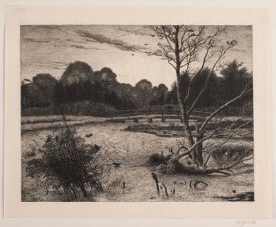 Puesta de sol en un bosque de Vilhelm Kyhn