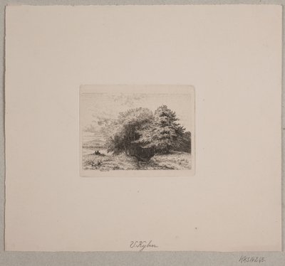 Borde de un bosque de Vilhelm Kyhn