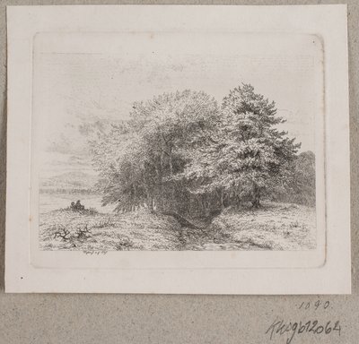 Borde de un bosque de Vilhelm Kyhn
