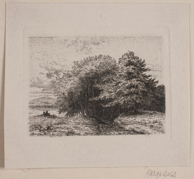 Borde de un bosque de Vilhelm Kyhn