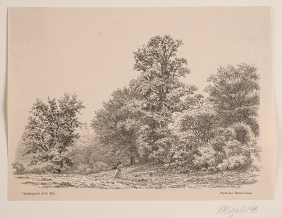 Udkant af en skov de Vilhelm Kyhn