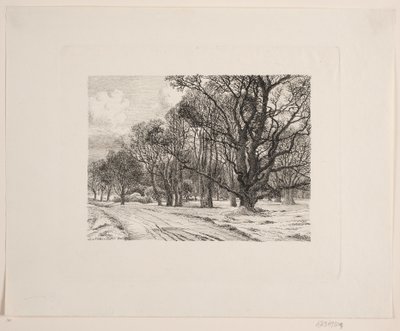 Invierno en el bosque de Vilhelm Kyhn