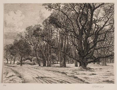 Invierno en el bosque de Vilhelm Kyhn