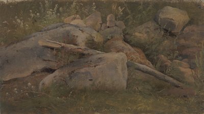 Estudio de un montón de piedras de Vilhelm Petersen