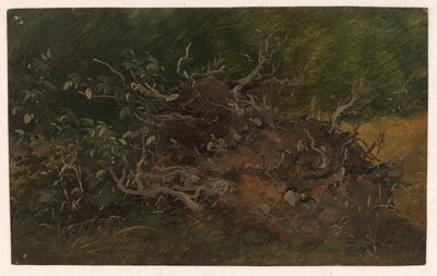 Estudio de un tocón de árbol de Vilhelm Petersen