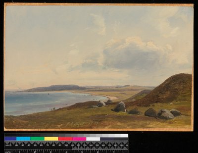 Vista hacia Hesbjerg desde la finca Hornbaek, 1857 de Vilhelm Peterson