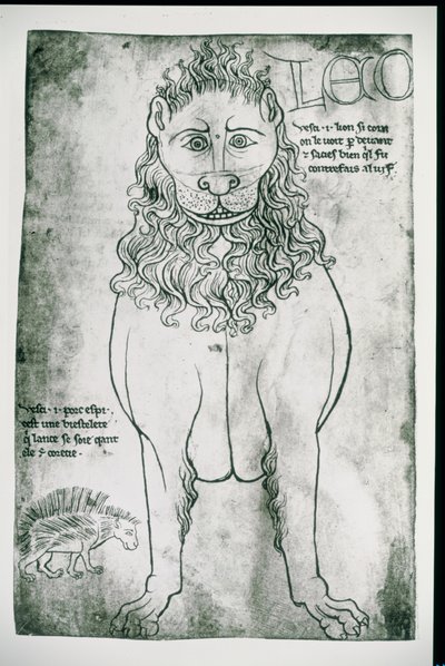 Ms Fr 19093 fol.24v León y Puercoespín (facsímil) de Villard de Honnecourt