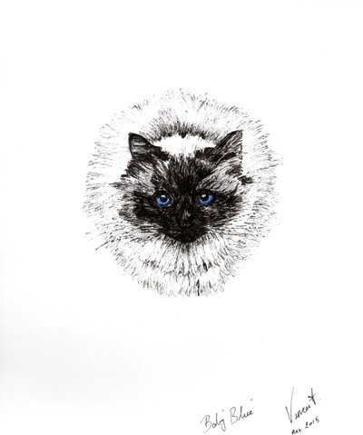 Bebé pelota, 2015 de Vincent Alexander Booth
