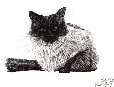 Ojos azul bebé, 2015 de Vincent Alexander Booth