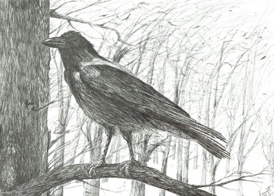 Pájaro, 2011 de Vincent Alexander Booth