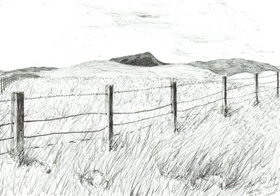 Culter Fell desde Hartfell, 2005 de Vincent Alexander Booth