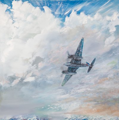 D.H. Mosquito, 2016 de Vincent Alexander Booth