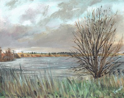 Fannyside Loch, 2009 de Vincent Alexander Booth