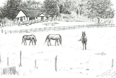 Caballos en la cima del camino de Vincent Alexander Booth