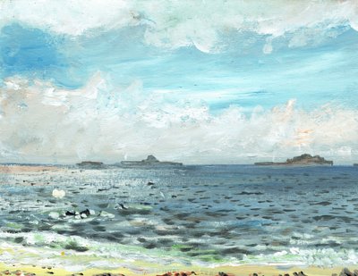Playa de Iona, 2007 de Vincent Alexander Booth